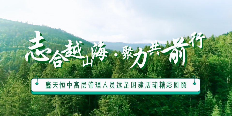 精彩回首 | 众行致远，，，，，，步步为赢，，，，，，一起奋进勇向前